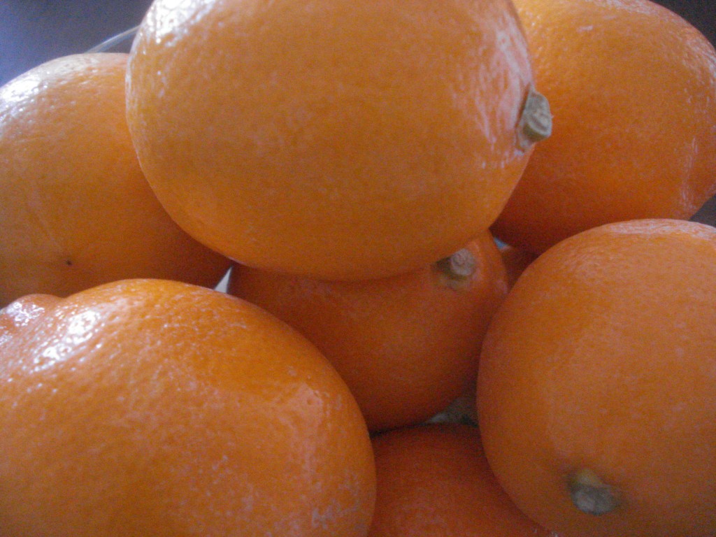 rsz_meyer_lemon1